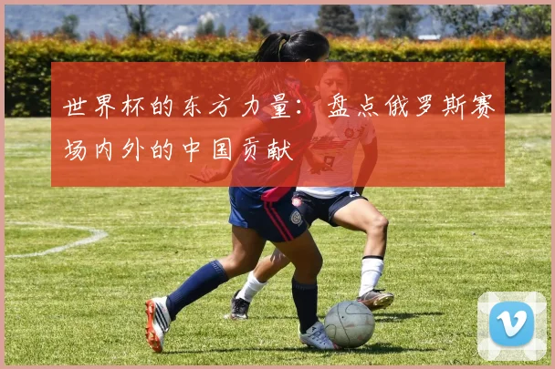 世界杯的东方力量：盘点俄罗斯赛场内外的中国贡献