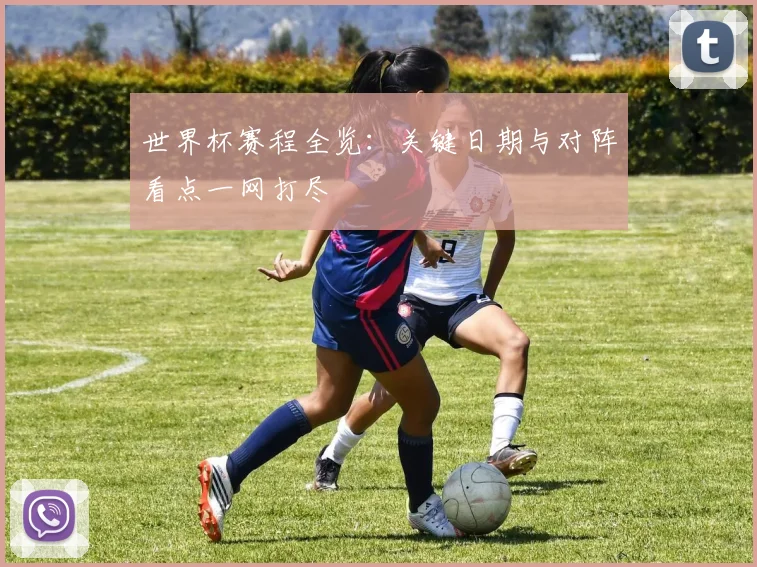 世界杯赛程全览：关键日期与对阵看点一网打尽