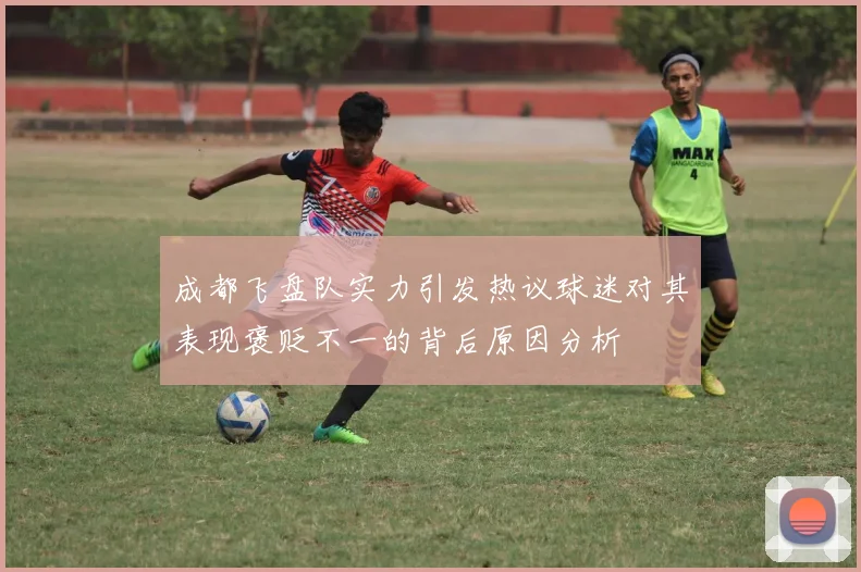 成都飞盘队实力引发热议球迷对其表现褒贬不一的背后原因分析