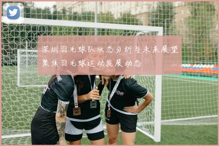 深圳羽毛球队状态分析与未来展望聚焦羽毛球运动发展动态