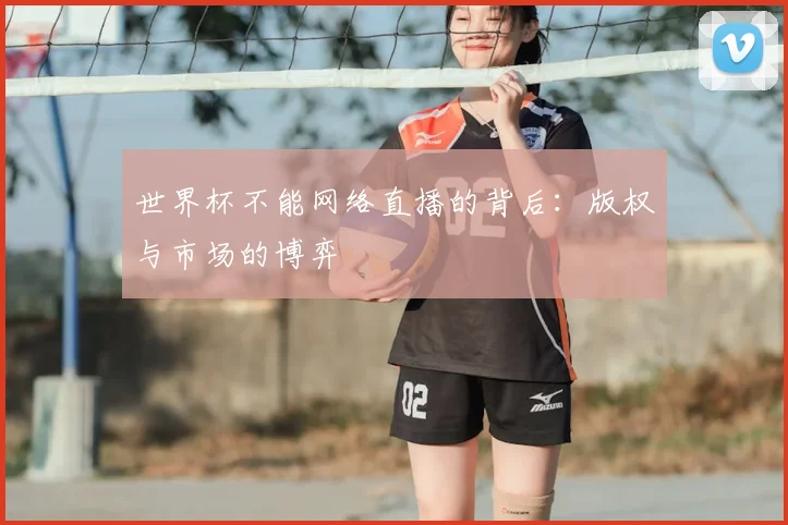 世界杯不能网络直播的背后：版权与市场的博弈