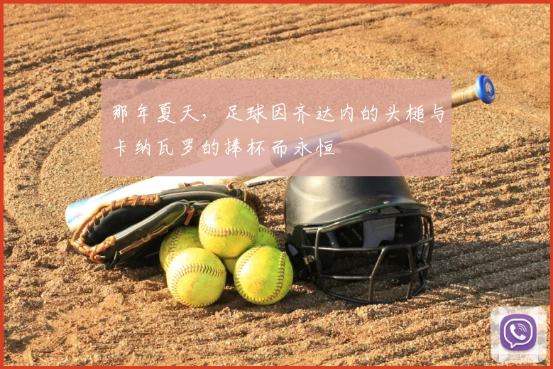 那年夏天，足球因齐达内的头槌与卡纳瓦罗的捧杯而永恒