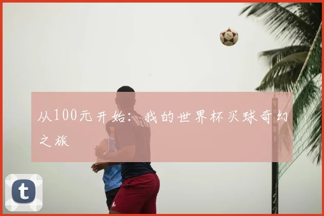 从100元开始:我的世界杯买球奇幻之旅