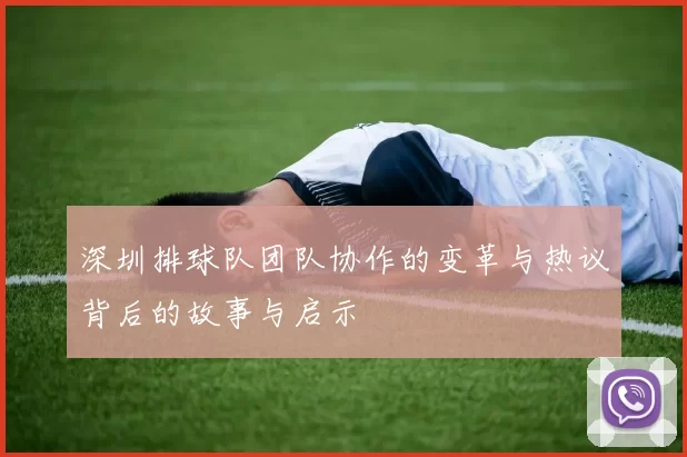 深圳排球队团队协作的变革与热议背后的故事与启示