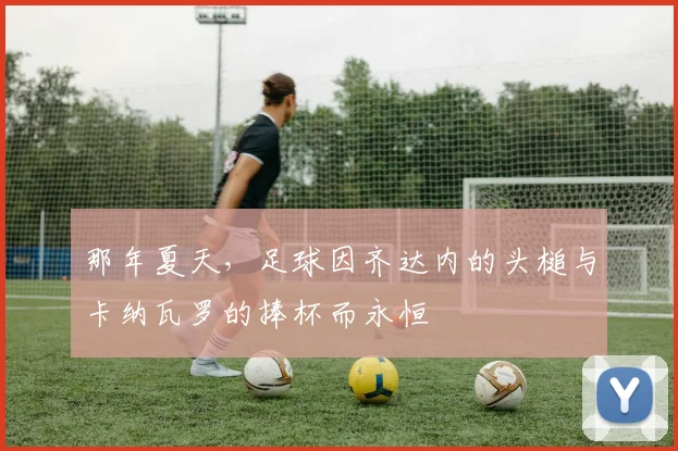 那年夏天，足球因齐达内的头槌与卡纳瓦罗的捧杯而永恒