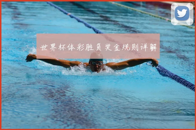 世界杯体彩胜负奖金规则详解