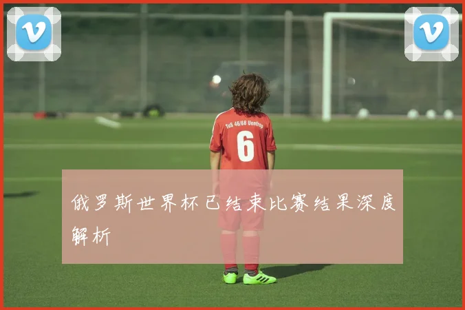 俄罗斯世界杯已结束比赛结果深度解析