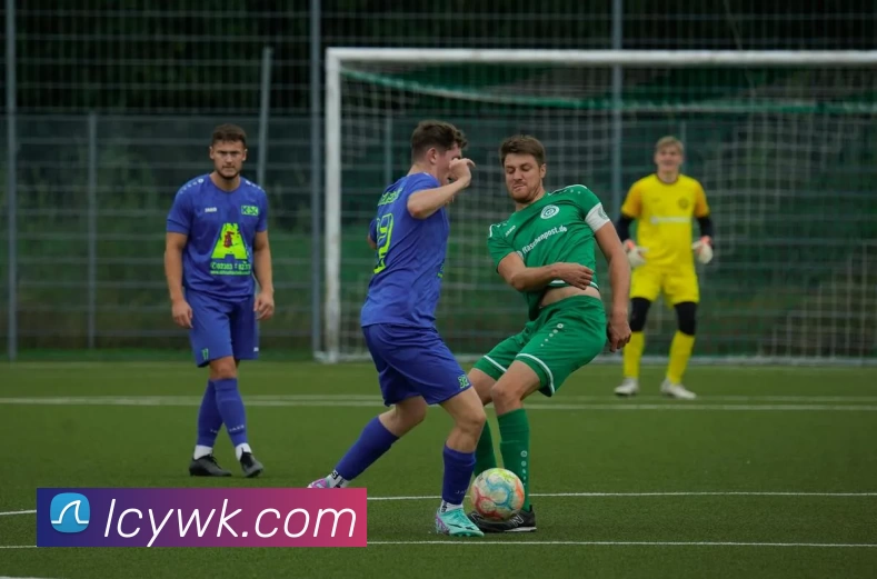 J9集团服务体系